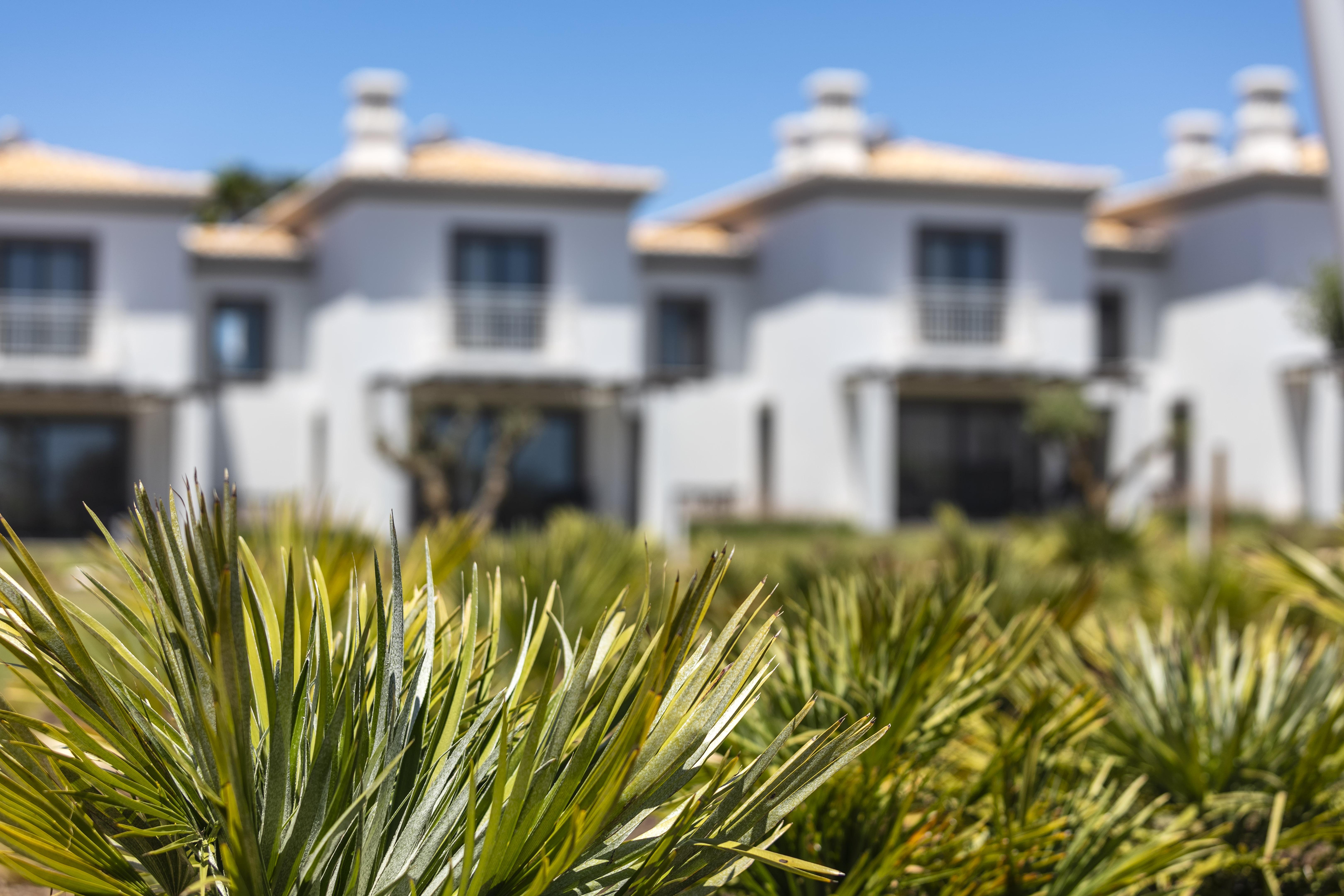Quinta Do Algarvio Village Carvoeiro  Zewnętrze zdjęcie